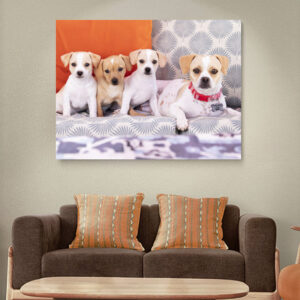 Acrylic Wall Art - Paw Prints