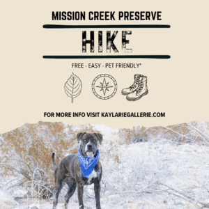 Black and Beige Minimalist Outdoor Hiking Photo Instagram Post Mission Creek Preserve Hike