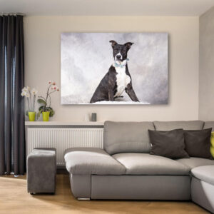 Metal Prints Wall Art - Paw Prints