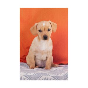 Custom Photo Jigsaw Puzzle (110/252/520/1014 Pieces)
